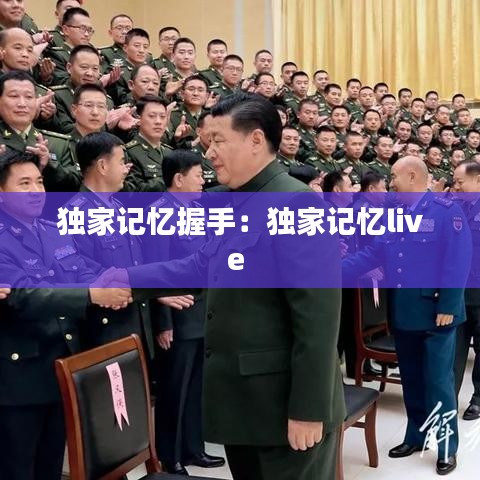 独家记忆握手：独家记忆live 