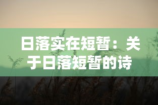 日落实在短暂：关于日落短暂的诗句 