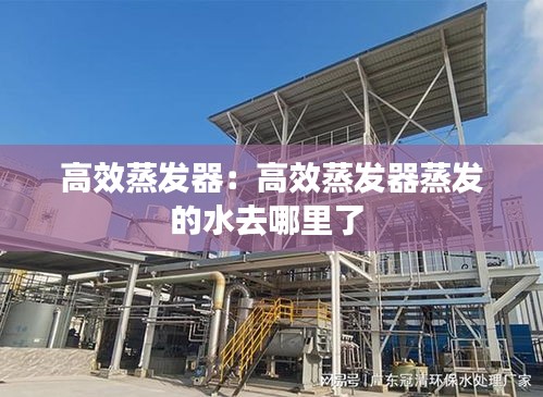高效蒸发器：高效蒸发器蒸发的水去哪里了 