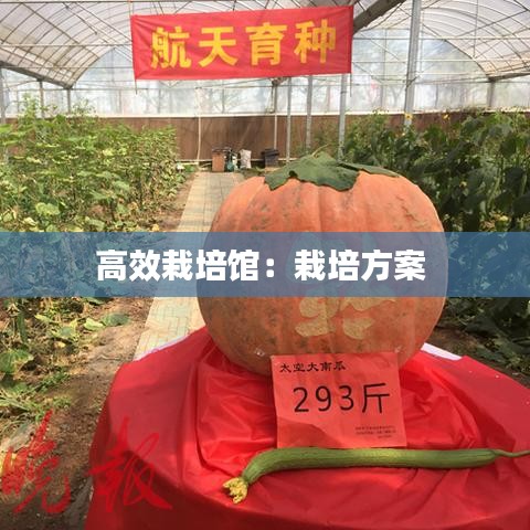高效栽培馆：栽培方案 