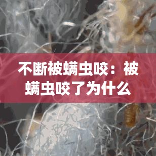不断被螨虫咬：被螨虫咬了为什么会反复发痒 