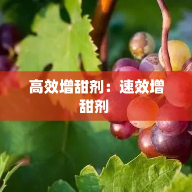 高效增甜剂：速效增甜剂 