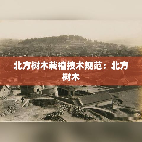 北方树木栽植技术规范：北方 树木 