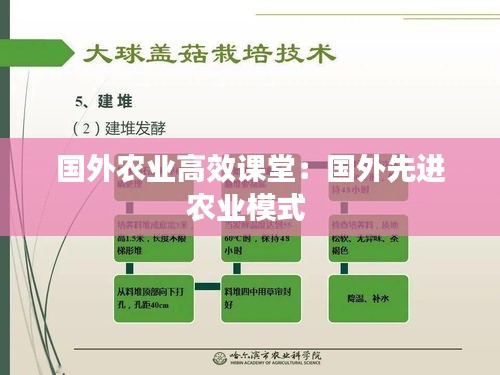 国外农业高效课堂：国外先进农业模式 