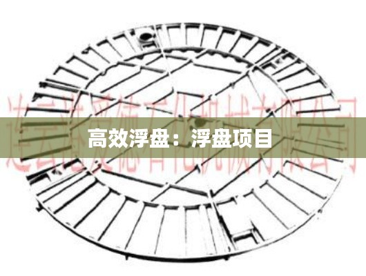 高效浮盘：浮盘项目 