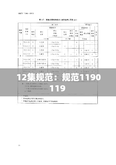 12集规范：规范1190119 