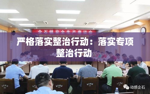 严格落实整治行动：落实专项整治行动 