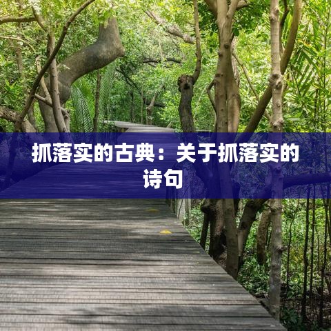 抓落实的古典：关于抓落实的诗句 