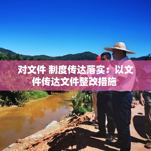 对文件 制度传达落实：以文件传达文件整改措施 