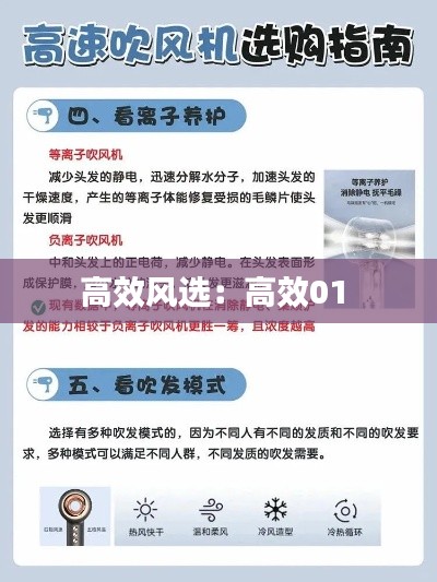 高效风选：高效01 