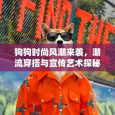 狗狗时尚风潮来袭，潮流穿搭与宣传艺术探秘