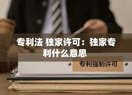 专利法 独家许可：独家专利什么意思 
