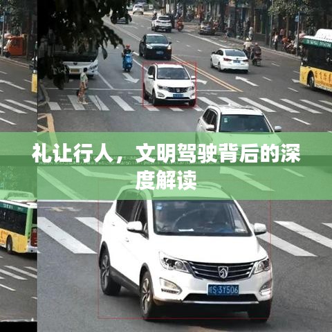 礼让行人，文明驾驶背后的深度解读