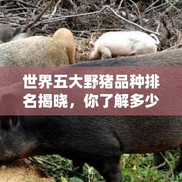 宁静致远 第3页