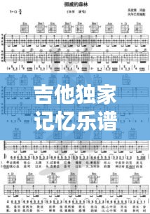 吉他独家记忆乐谱：独家记忆吉他弹唱教学 