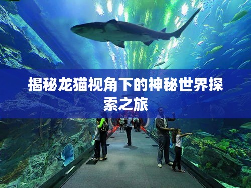 揭秘龙猫视角下的神秘世界探索之旅