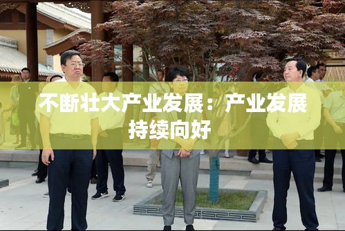 不断壮大产业发展：产业发展持续向好 