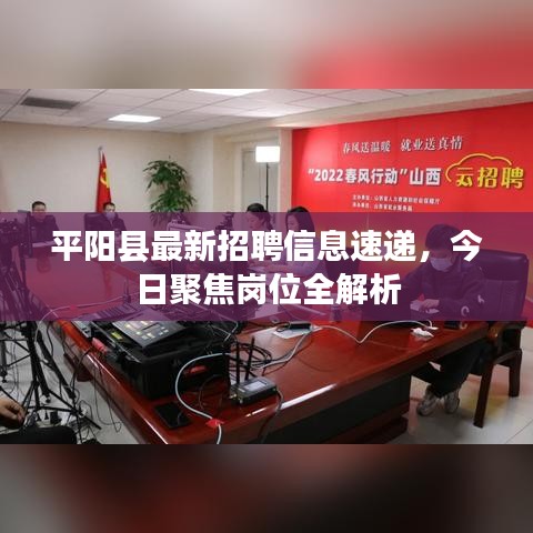 平阳县最新招聘信息速递，今日聚焦岗位全解析