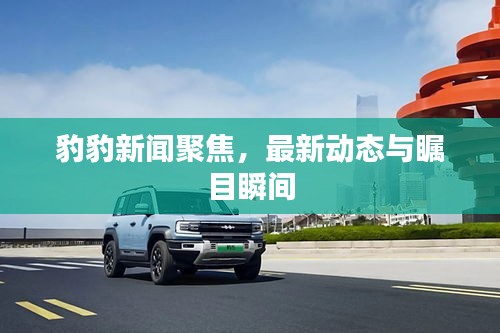 豹豹新闻聚焦，最新动态与瞩目瞬间