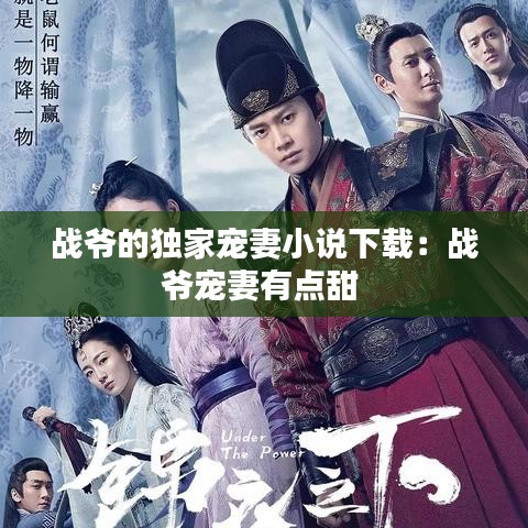 战爷的独家宠妻小说下载：战爷宠妻有点甜 