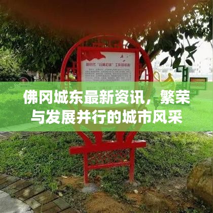 佛冈城东最新资讯，繁荣与发展并行的城市风采
