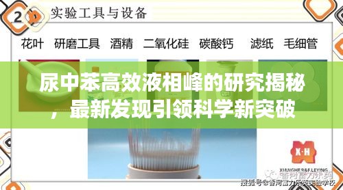尿中苯高效液相峰的研究揭秘，最新发现引领科学新突破