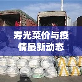 屈高就下 第2页
