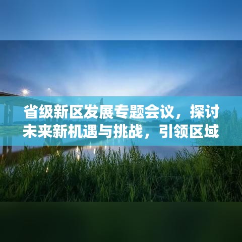 省级新区发展专题会议，探讨未来新机遇与挑战，引领区域发展新征程