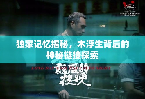 独家记忆揭秘，木浮生背后的神秘链接探索
