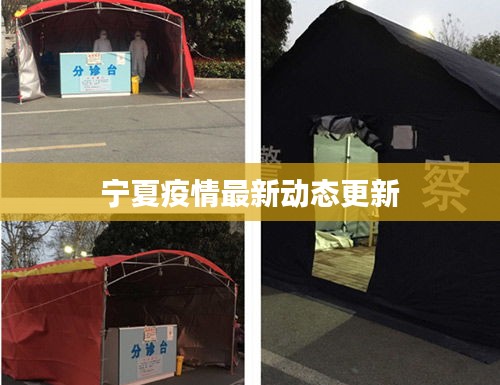 宁夏疫情最新动态更新