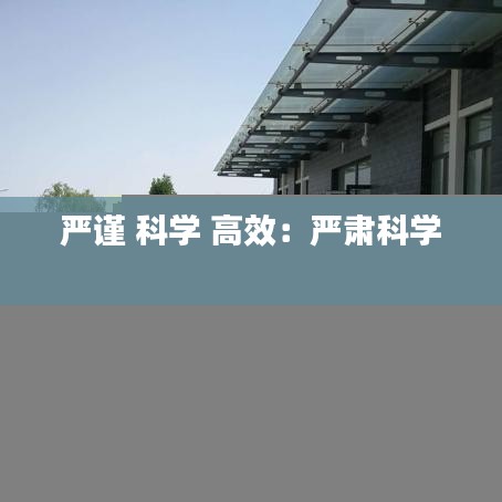 严谨 科学 高效：严肃科学 