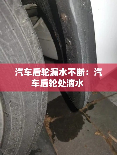 汽车后轮漏水不断：汽车后轮处滴水 