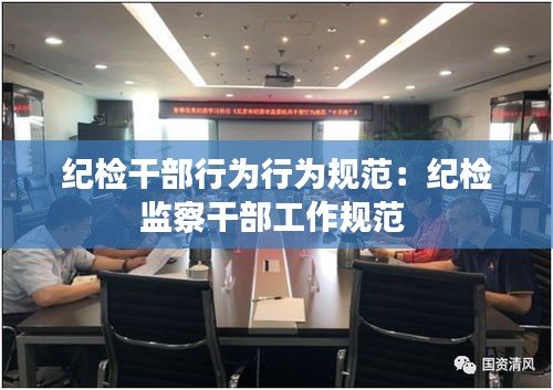 纪检干部行为行为规范：纪检监察干部工作规范 
