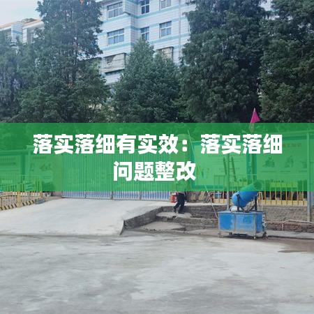 落实落细有实效：落实落细问题整改 