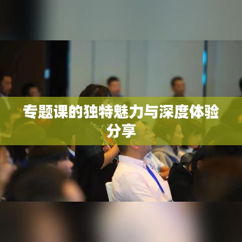 专题课的独特魅力与深度体验分享