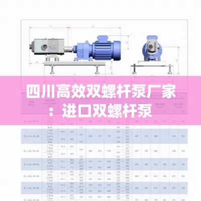 四川高效双螺杆泵厂家：进口双螺杆泵 