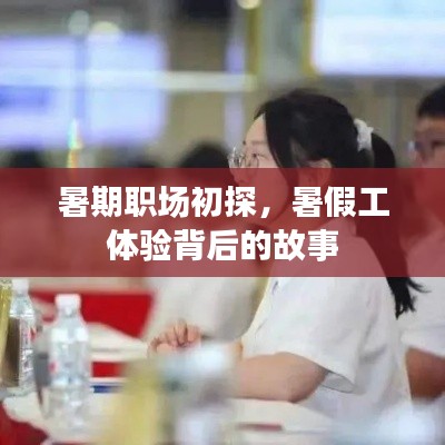 暑期职场初探，暑假工体验背后的故事