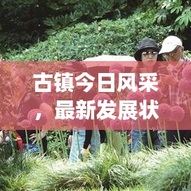 古镇今日风采，最新发展状况速览