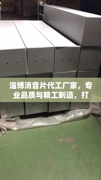 淄博消音片代工厂家，专业品质与精工制造，打造行业标杆