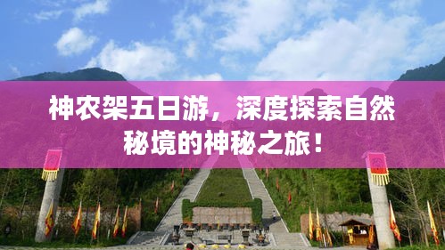 神农架五日游，深度探索自然秘境的神秘之旅！