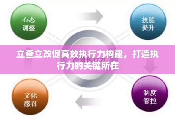 立查立改促高效执行力构建，打造执行力的关键所在