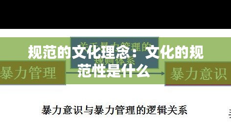 规范的文化理念：文化的规范性是什么 