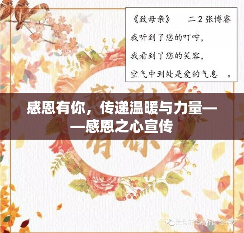感恩有你，传递温暖与力量——感恩之心宣传