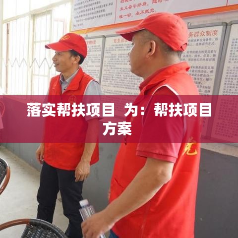 落实帮扶项目  为：帮扶项目方案 
