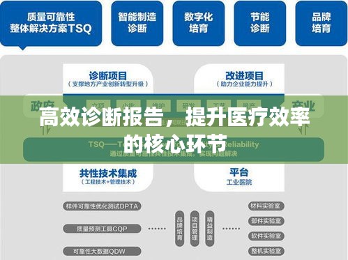 高效诊断报告，提升医疗效率的核心环节
