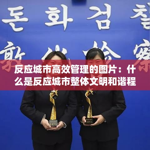 反应城市高效管理的图片：什么是反应城市整体文明和谐程度的综合荣誉称号 