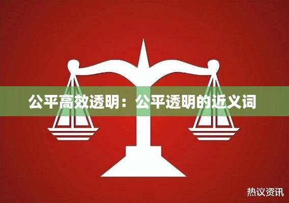 公平高效透明：公平透明的近义词 