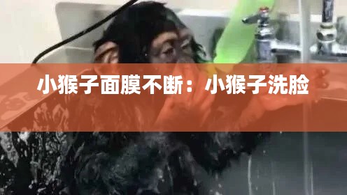 小猴子面膜不断：小猴子洗脸 