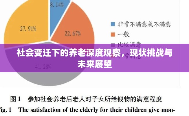 社会变迁下的养老深度观察，现状挑战与未来展望