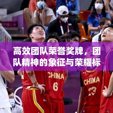 高效团队荣誉奖牌，团队精神的象征与荣耀标志